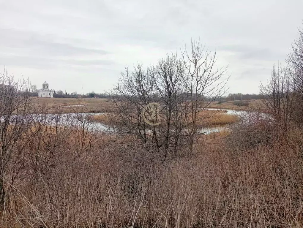 Участок в Тамбовская область, Никифоровский муниципальный округ, с. ... - Фото 1