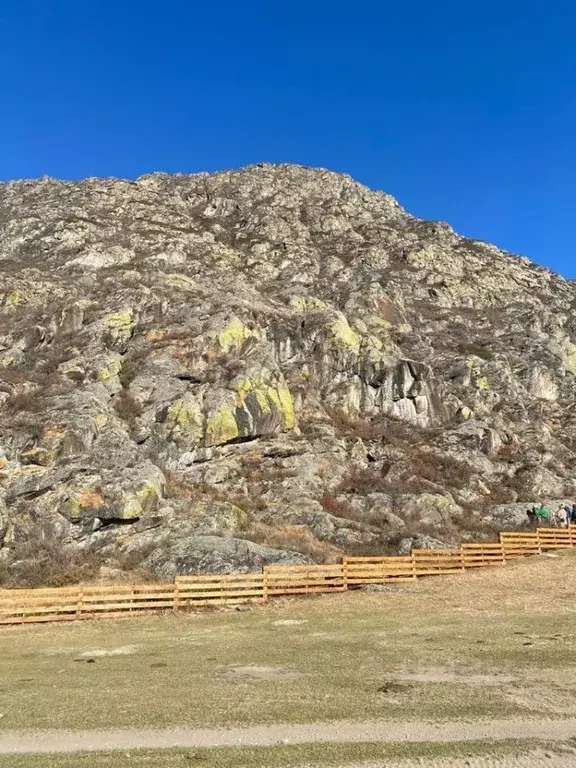 Участок в Алтай, Чемальский район, с. Куюс Центральная ул. (13.0 сот.) - Фото 1