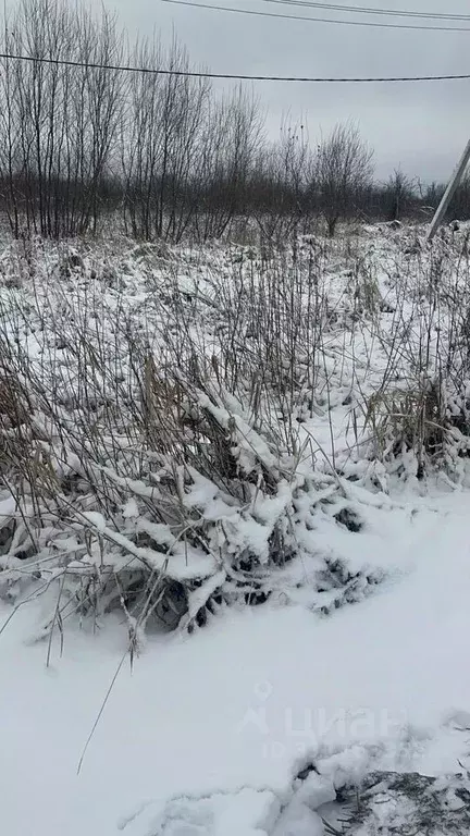 Участок в Архангельская область, Архангельск Малое Никольское ТСН, 219 ... - Фото 1