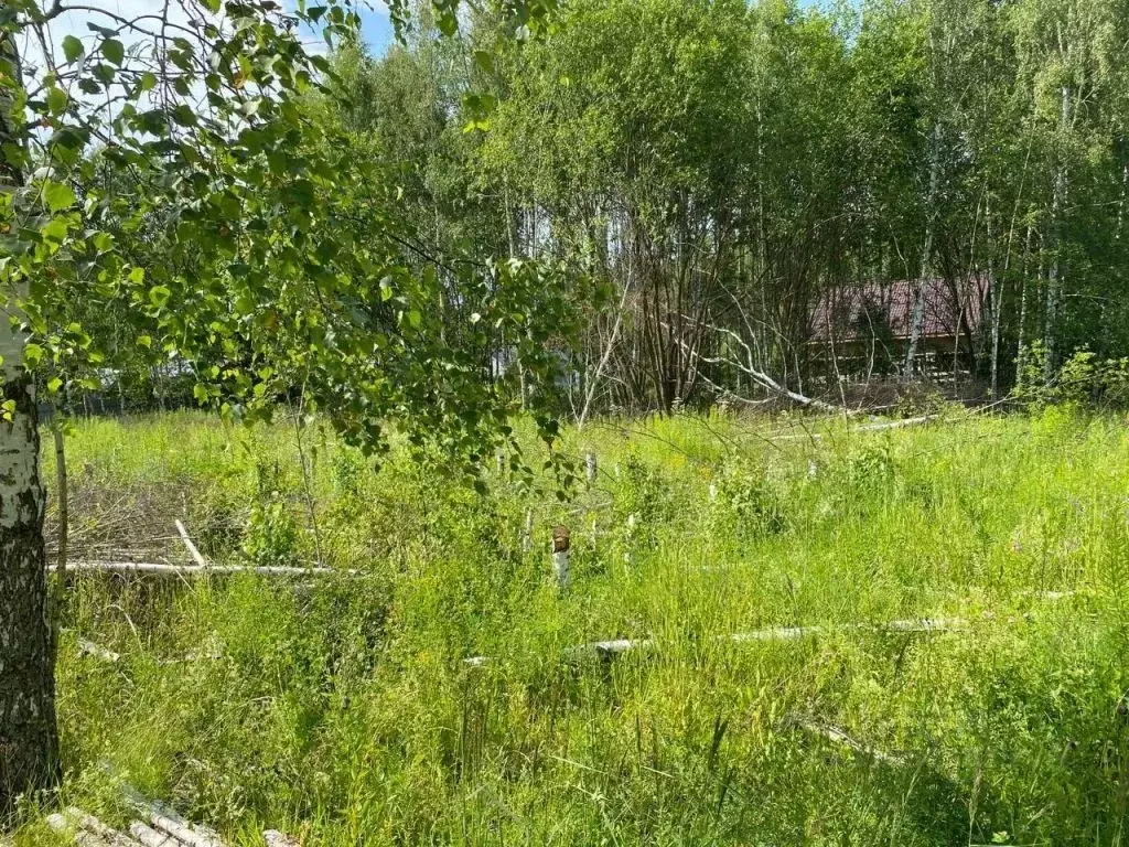 Участок в Нижегородская область, Нижний Новгород с. Елховка,  (10.0 ... - Фото 1