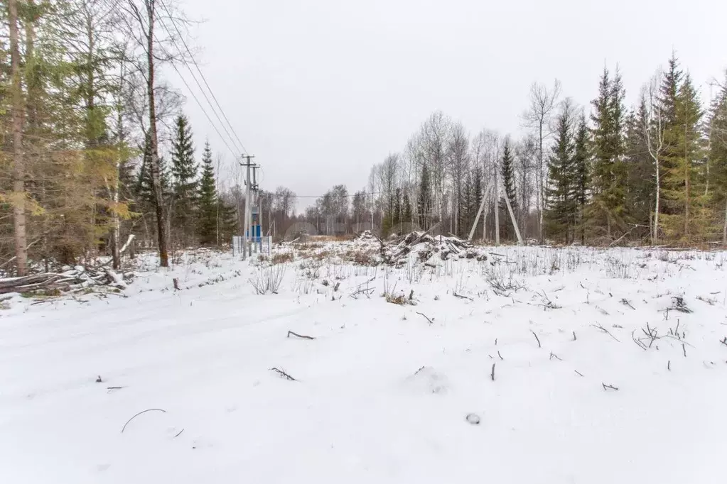 Участок в Тюменская область, Тобольск Микрорайон усадьба, 472 (7.0 ... - Фото 1