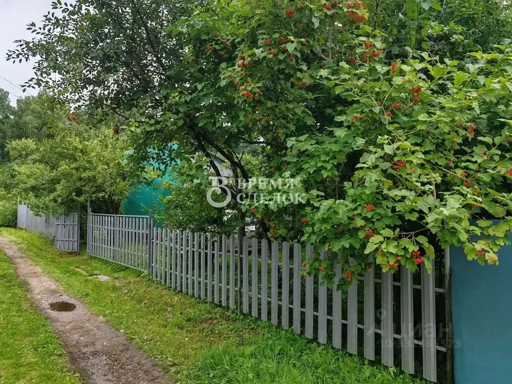 Участок в Владимирская область, Суздальский муниципальный округ, ... - Фото 1