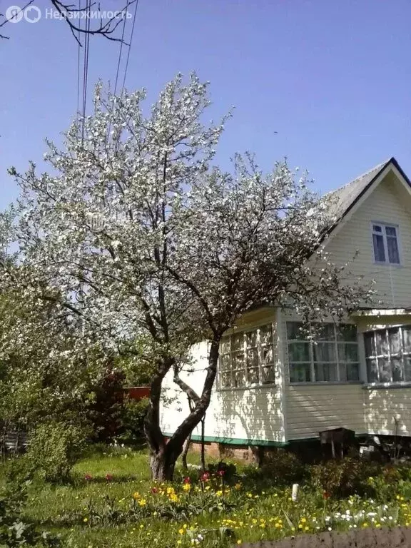Дом в Московская область, Раменский муниципальный округ, деревня ... - Фото 1