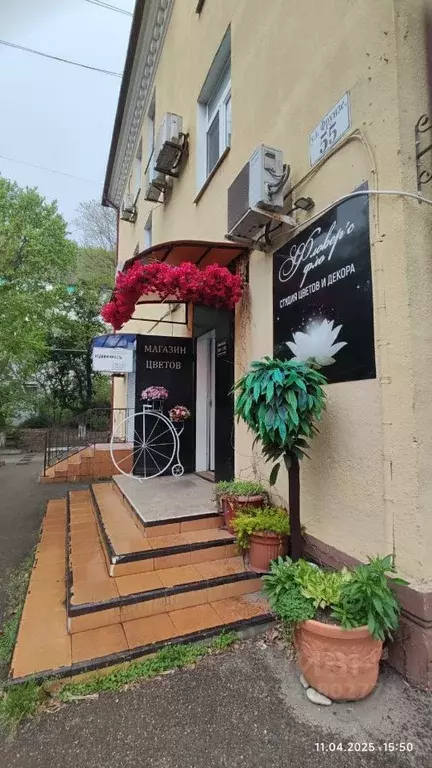 Торговая площадь в Краснодарский край, Туапсе ул. Фрунзе, 55 (31 м) - Фото 0