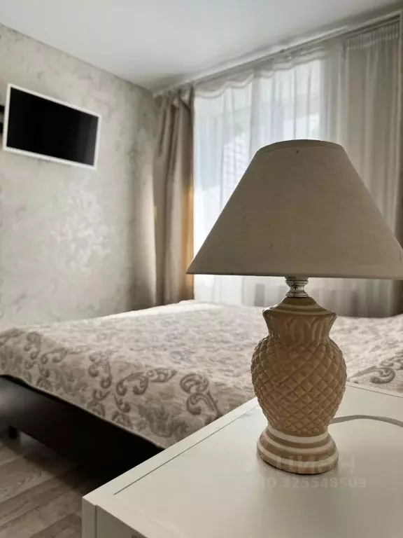 1-к кв. Саратовская область, Саратов ул. Лопатина Гора, 14к1 (30.2 м) - Фото 1