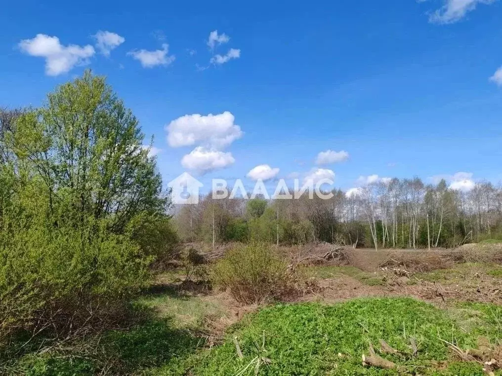 Участок в Ленинградская область, Выборгский район, Рощинское городское ... - Фото 1