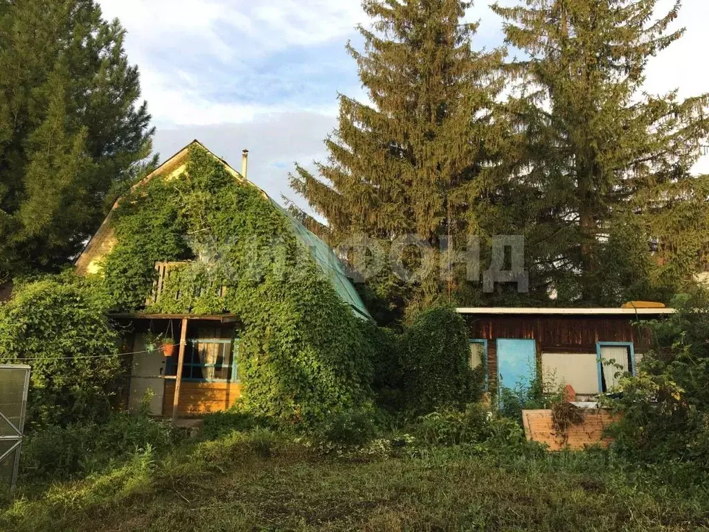 Дом в Новосибирская область, Коченевский район, Здоровье СНТ ул. № 14 ... - Фото 1