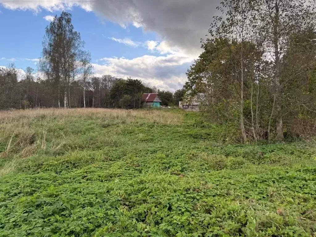 Участок в Ленинградская область, Гатчинский муниципальный округ, д. ... - Фото 2