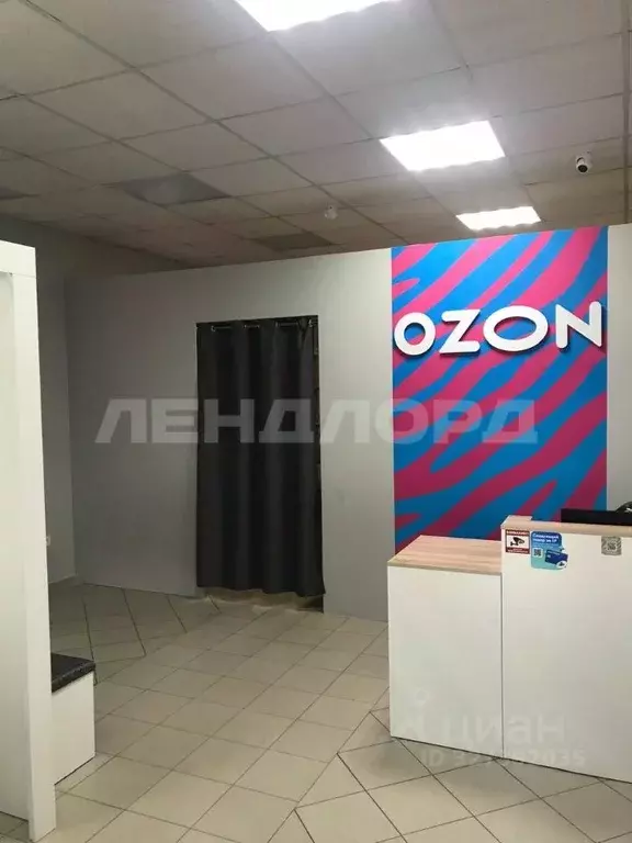 Торговая площадь в Ростовская область, Ростов-на-Дону Белорусская ул., ... - Фото 2