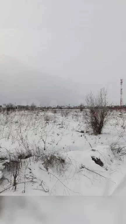 Участок 50 сот. (СНТ, ДНП) - Фото 1