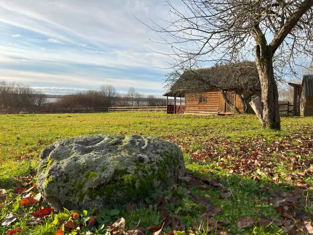 Дом в Тверская область, Западнодвинский район, д. Вережуни  (20 м) - Фото 0