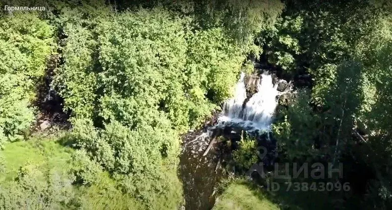 Участок в Карелия, Медвежьегорский район, д. Шуньга  (7.8 сот.) - Фото 1