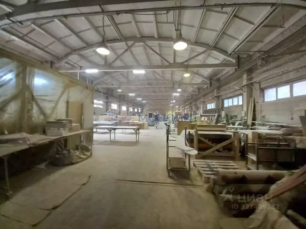 Производственное помещение в Нижегородская область, Бор ... - Фото 2