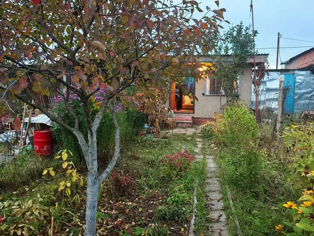 Продается дача в с. Речицы - Фото 1