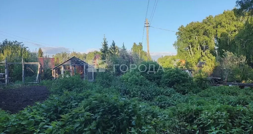 Участок в Новосибирская область, Новосибирский район, Морской ... - Фото 2