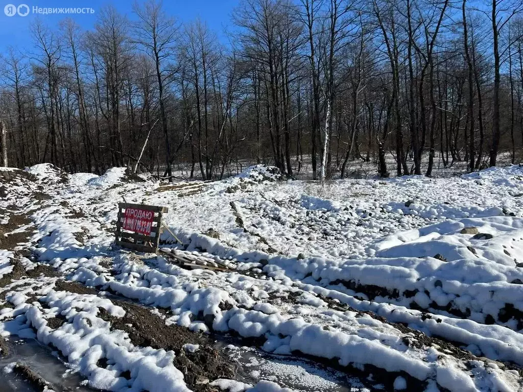 Участок в Владикавказ, СНО Редант (5 м) - Фото 1