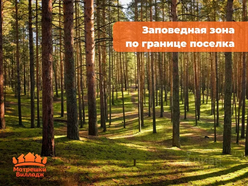 Участок в Московская область, Одинцовский городской округ, Матрешки ... - Фото 2