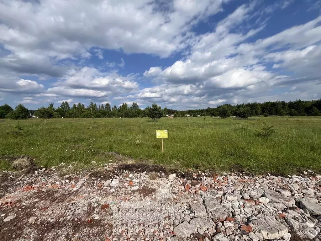 Участок в Московская область, Богородский городской округ, Следово кп ... - Фото 2