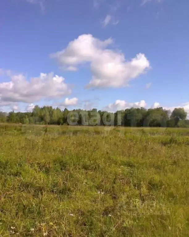 Участок в Пермский край, Кунгурский муниципальный округ, д. Канабеково ... - Фото 1