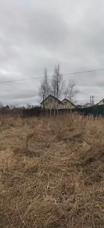 Участок в Московская область, Щелково городской округ, д. Большие ... - Фото 1