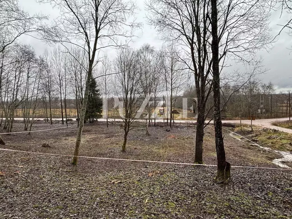 Участок в Ленинградская область, Приозерский район, Петровское с/пос, ... - Фото 1