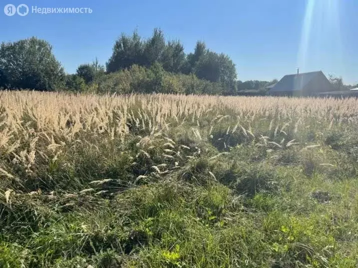 Участок в Владимирская область, Меленковский муниципальный округ, ... - Фото 1