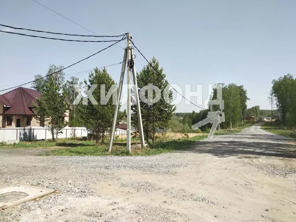 Участок в Новосибирская область, Новосибирский район, Барышевский ... - Фото 0