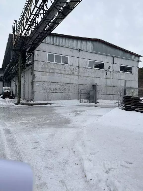 Склад в Алтайский край, Барнаул ул. Весенняя, 21к2 (426 м) - Фото 1