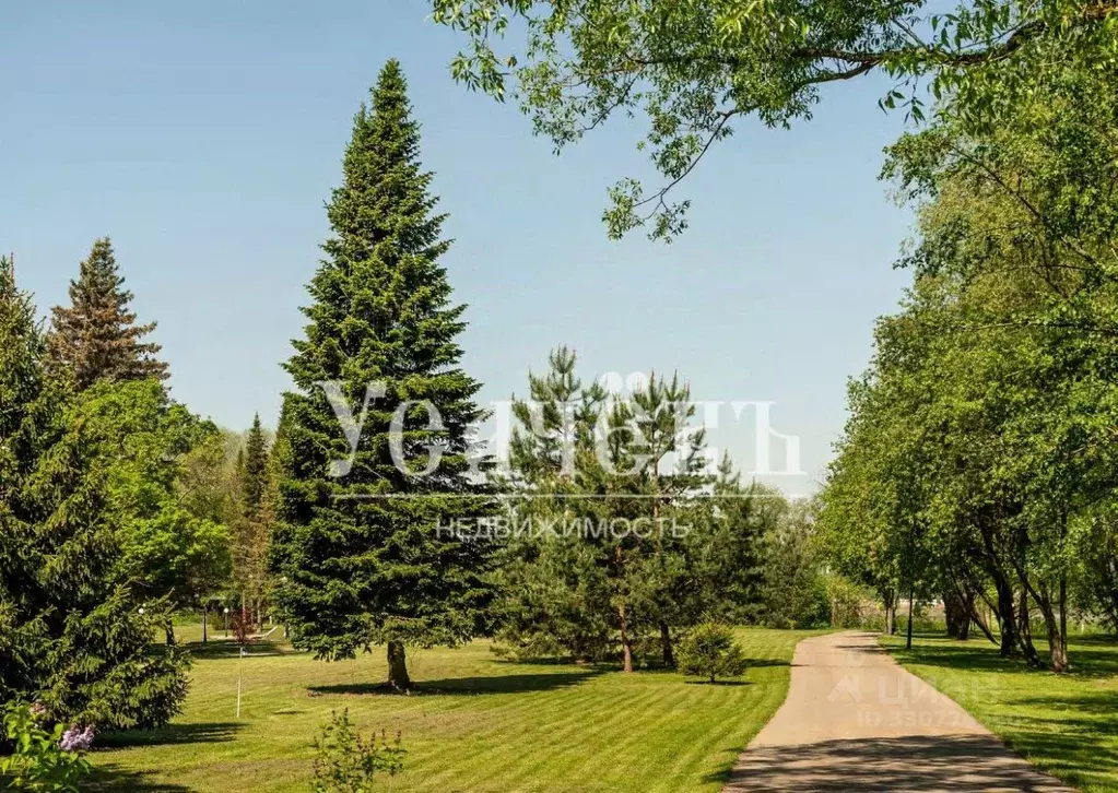 Участок в Московская область, Красногорск городской округ, с. ... - Фото 2