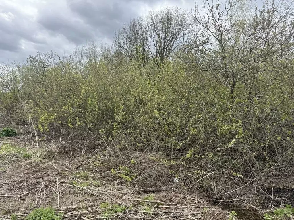 Участок в Московская область, Пушкинский городской округ, д. ... - Фото 1