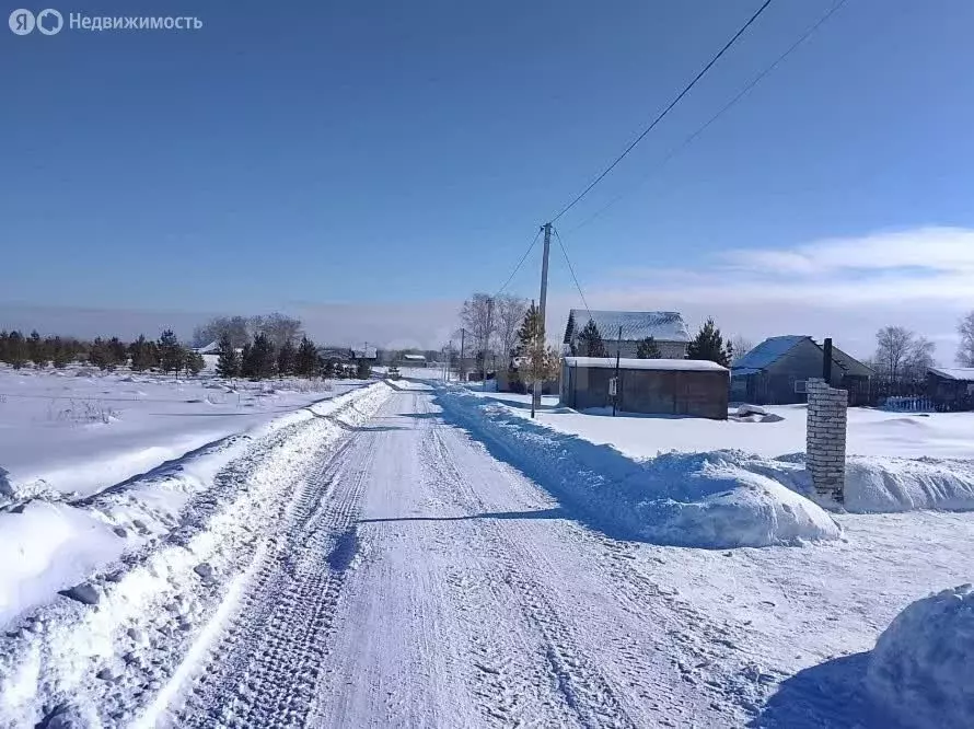 Участок в Курганская область, Кетовский муниципальный округ, НДПК ... - Фото 2
