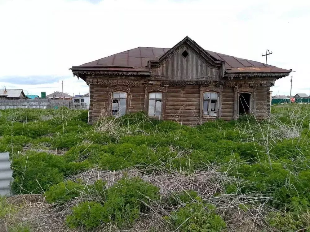 Участок в Омская область, Омский район муниципальный округ, с. ... - Фото 2