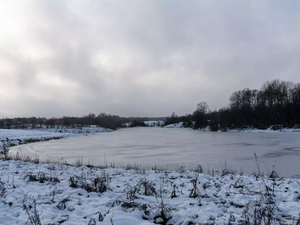 Участок в Московская область, Шаховская городской округ, с. Белая ... - Фото 1