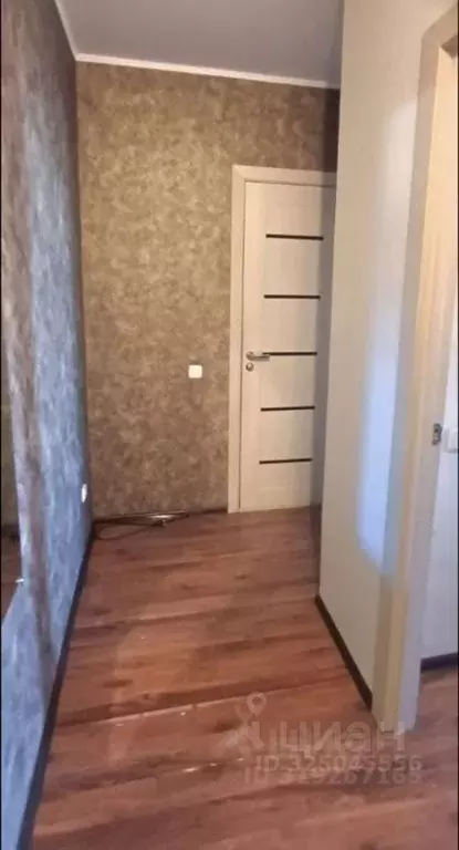 2-к кв. Алтайский край, Барнаул ул. Малахова, 138 (35.5 м) - Фото 1