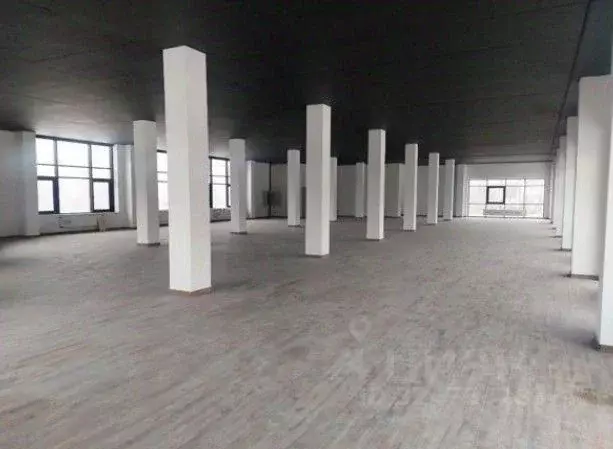 Помещение свободного назначения в Ленинградская область, Кудрово г. ... - Фото 1