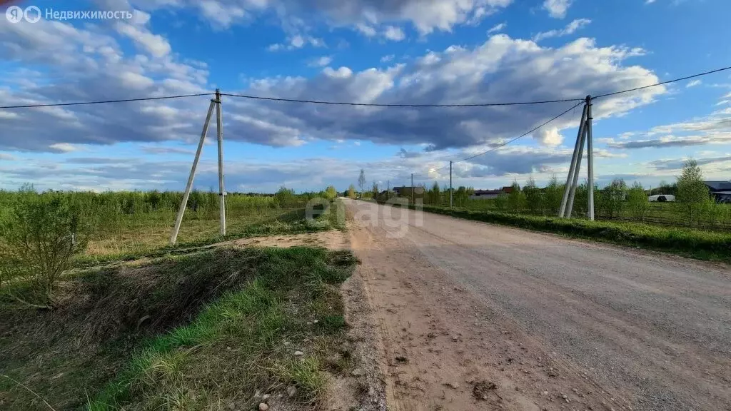 Участок в Ракомское сельское поселение, деревня Васильевское (15 м) - Фото 1