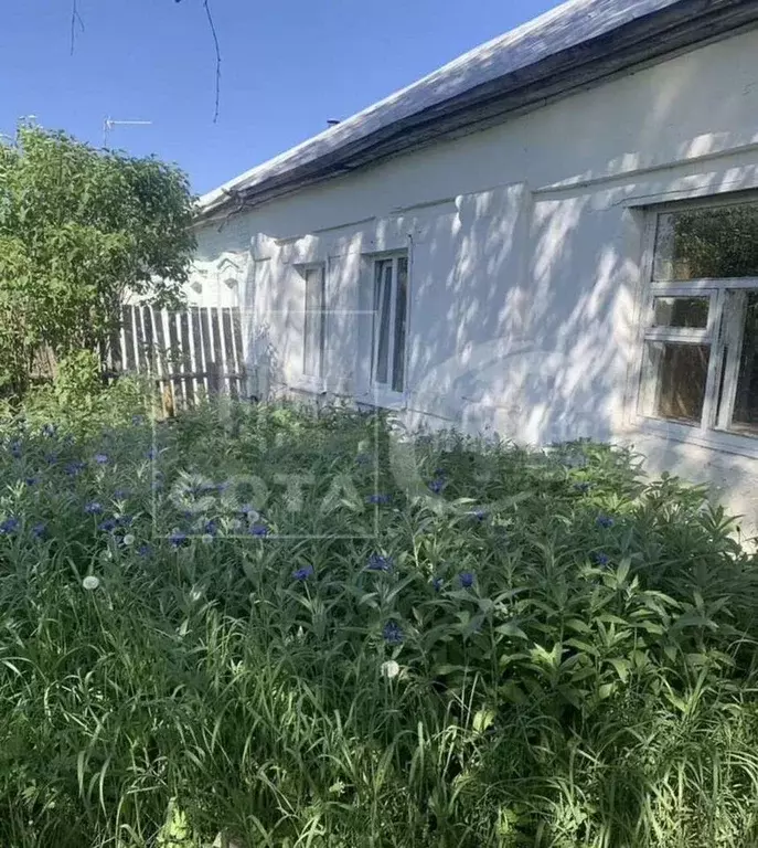 Дом 45 м на участке 1 сот. - Фото 1
