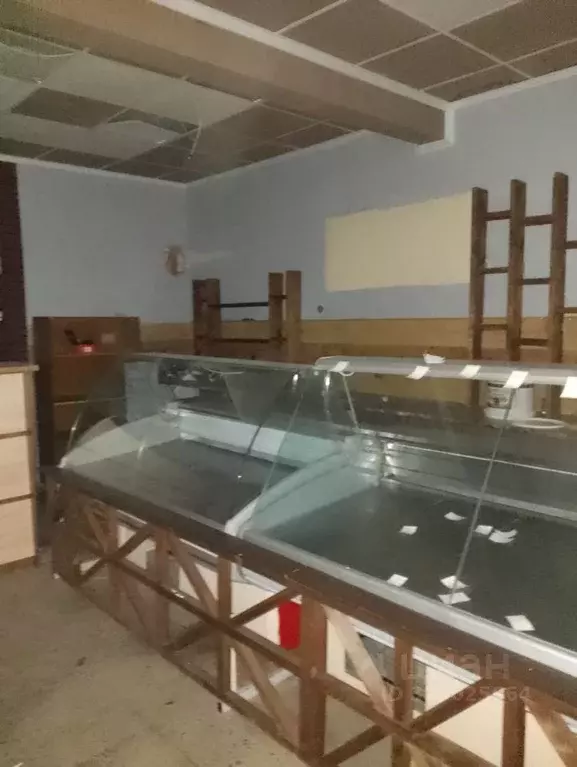 Помещение свободного назначения в Коми, Воркута ул. Дончука, 11 (195 ... - Фото 2