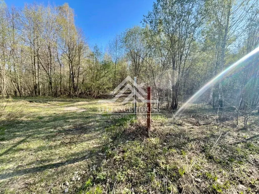 Участок в Татарстан, с. Пестрецы  (11.6 сот.) - Фото 1