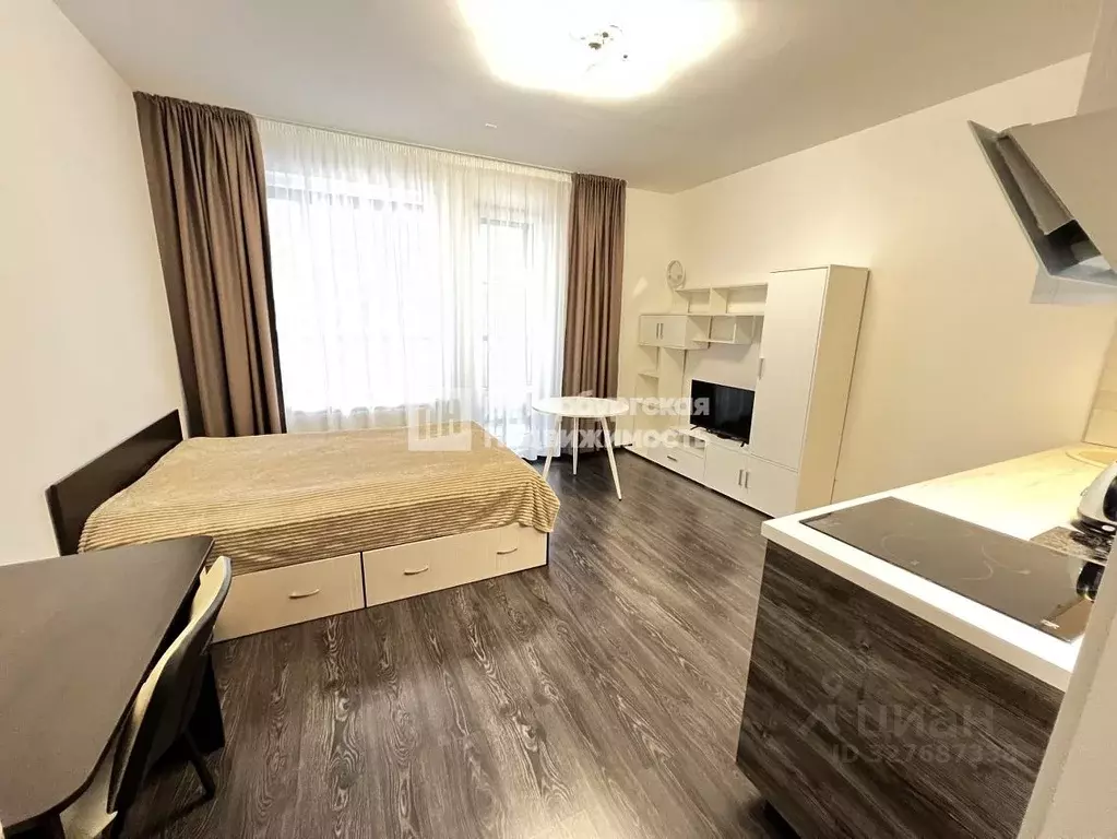 Студия Санкт-Петербург ул. Верхне-Каменская, 9к1 (24.8 м) - Фото 1