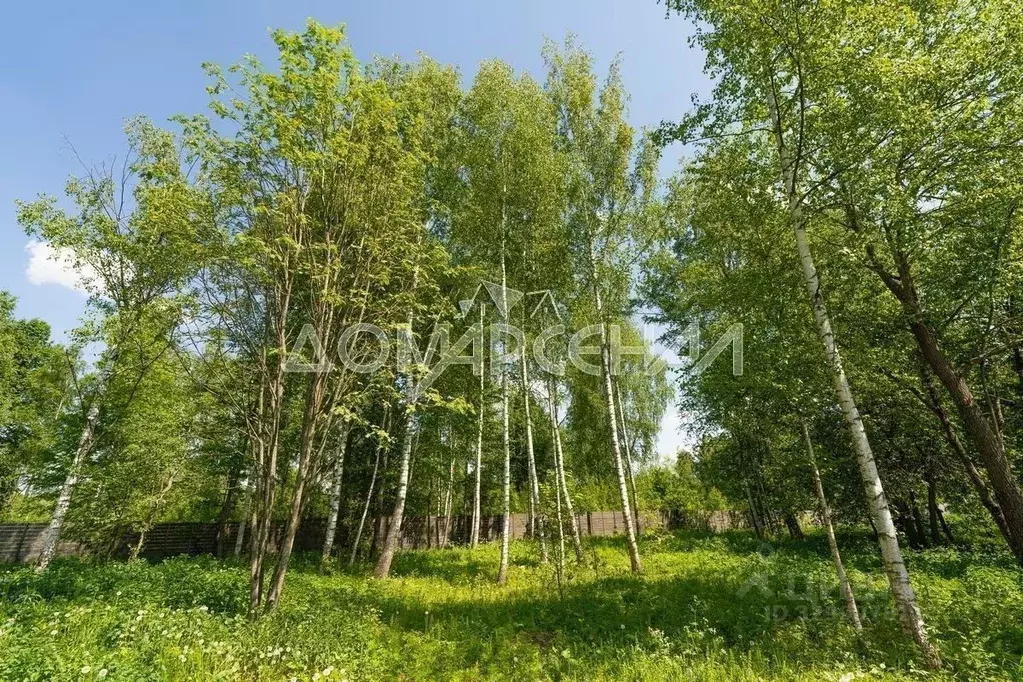 Участок в Москва Новомосковский ао, д. Бараново, ул. Речная, 4 (40.13 ... - Фото 1