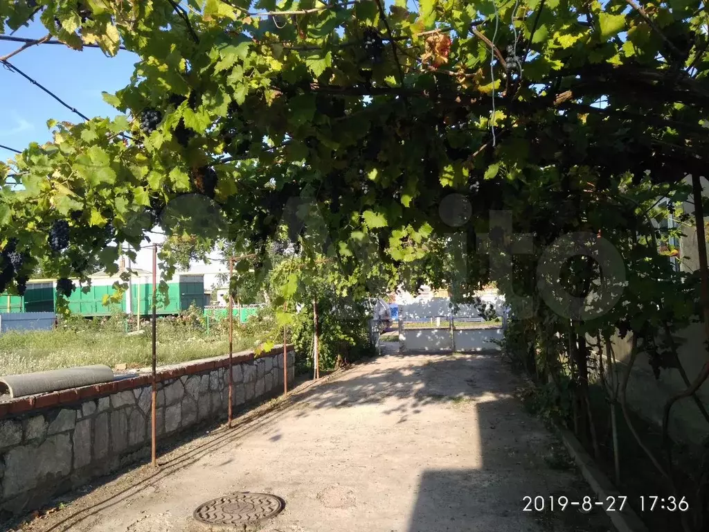Дом 50 м на участке 22 сот. - Фото 1