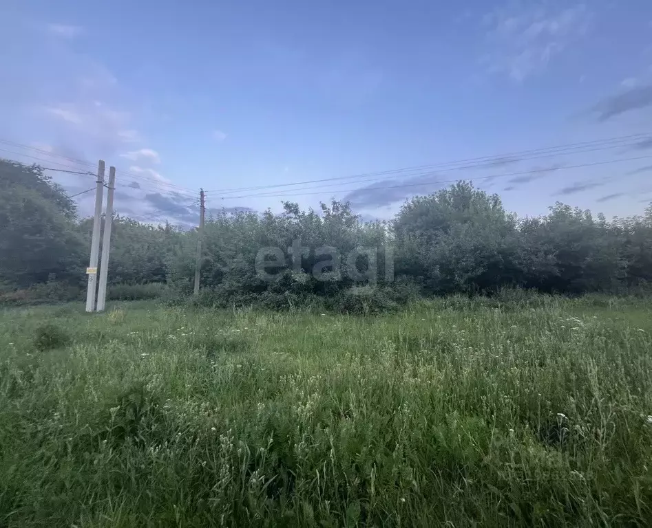 Участок в Воронежская область, Рамонский район, Русскогвоздевское ... - Фото 0