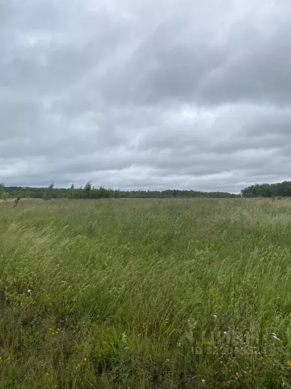 Участок в Московская область, Луховицы  (25.0 сот.) - Фото 1