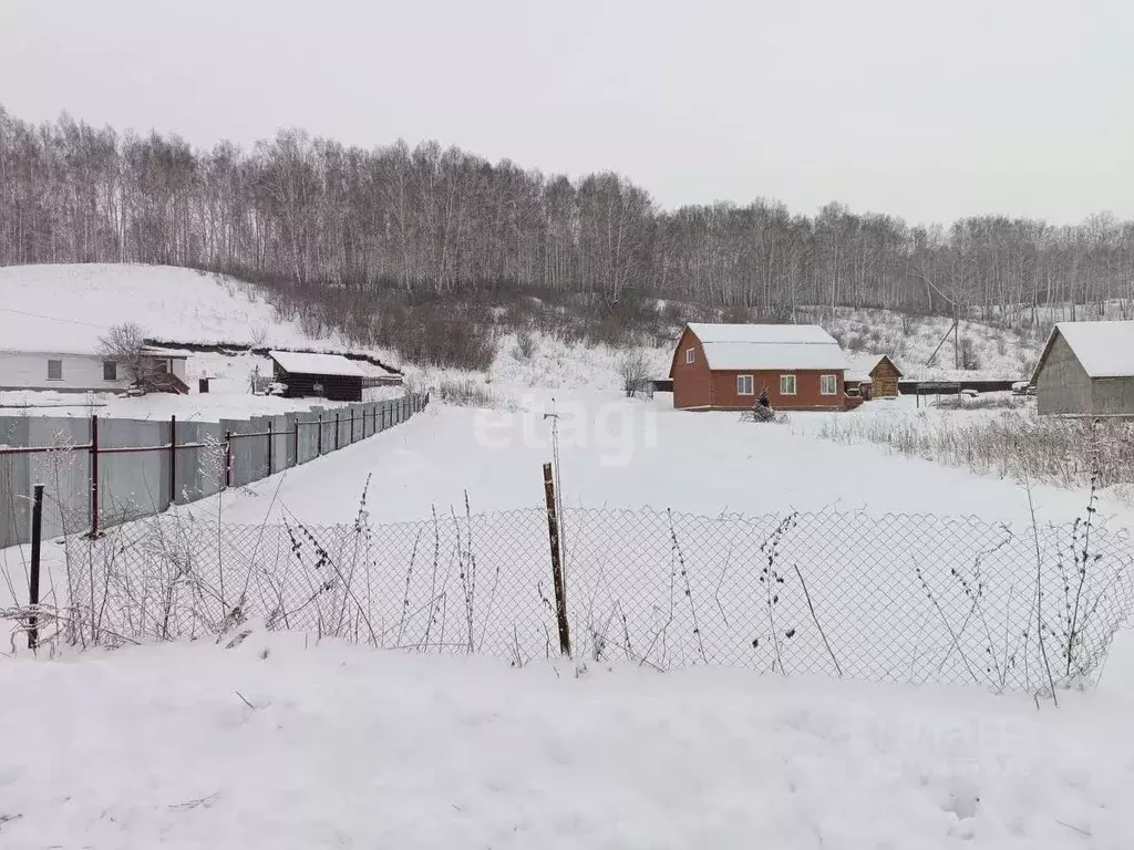 Участок в Новосибирская область, Новосибирский район, Раздольненский ... - Фото 1