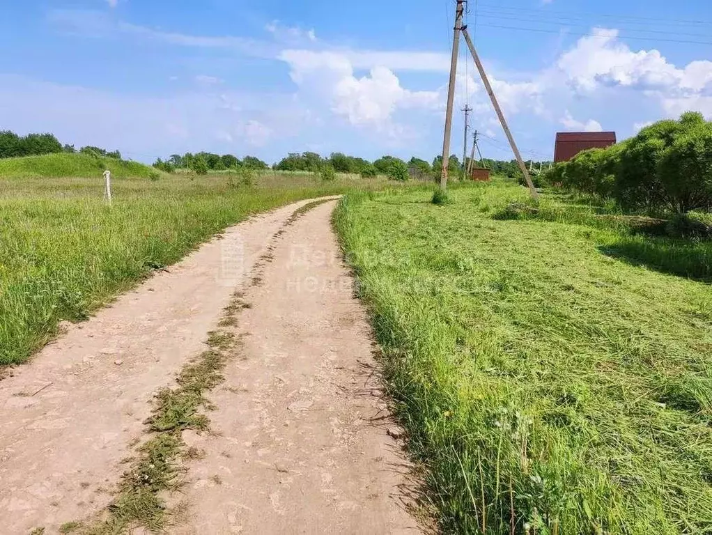 Участок в Новгородская область, Шимское городское поселение, д. ... - Фото 1