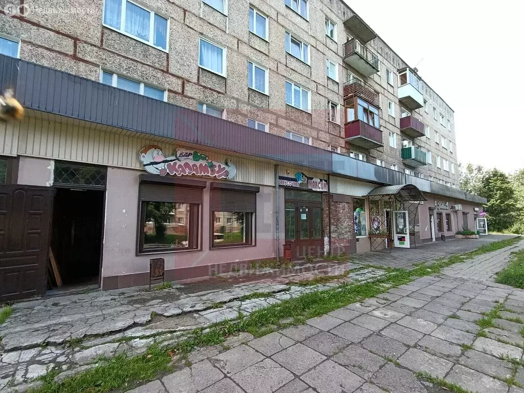 Помещение свободного назначения (540 м) - Фото 2
