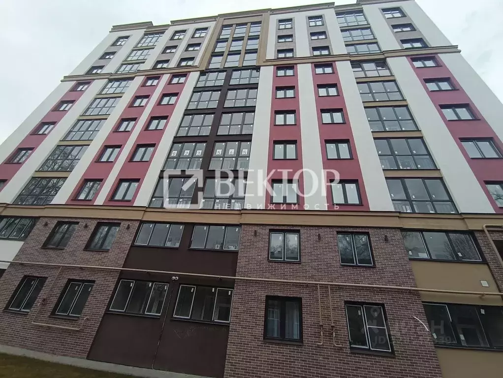 1-к кв. Ивановская область, Иваново ул. Куликова, 8 (34.5 м) - Фото 1