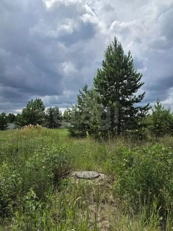 Участок в Воронежская область, Рамонский район, Айдаровское с/пос, с. ... - Фото 1