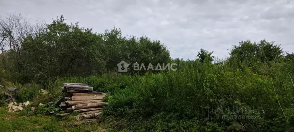 Участок в Владимирская область, Собинский муниципальный округ, с. ... - Фото 1